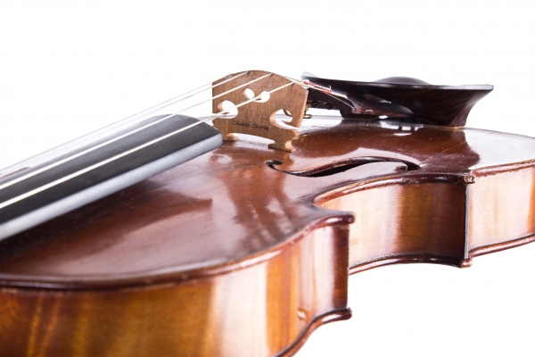 Tallada Profesional Puente de Violín o Viola (Aubert Deluxe o Despiau) - Imagen 6