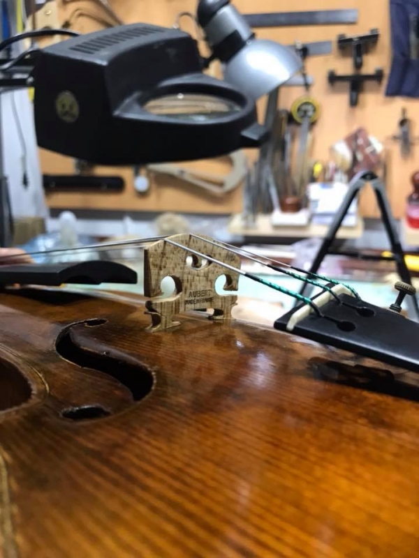 Tallada Profesional Puente de Violín o Viola (Aubert Deluxe o Despiau) - Imagen 4